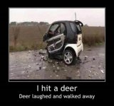 The Deer Laughed.jpg