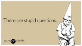 stupid-questions-reminders-ecard-someecards.jpg