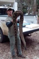 Big Rattler.jpg