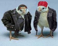 BikerChicks.jpg