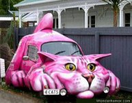 Cat Car.jpg