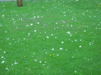 fountain, garden and hail 007.jpg