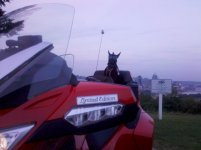 IMG_20110918_193852.jpg