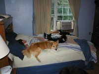 20110705 004.jpg