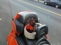 IMG_20110929_182100.jpg