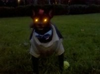 IMG_20110928_193648-1.jpg