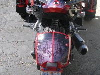 Spyder 006.jpg
