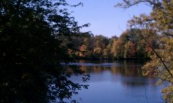 IMAG0731.jpg
