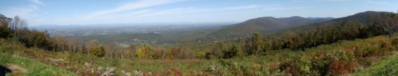 2011 04.jpg