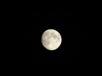 IMG_0257.jpg