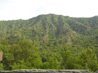 DSCN03651.jpg