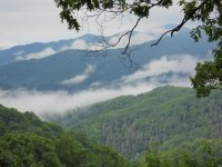 DSCN03811.jpg