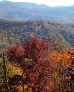 Cherohala001.jpg