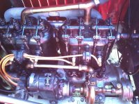 IMG_20111022_123234.jpg