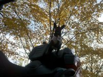 IMG_20111025_172059.jpg