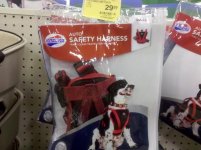 IMG_20111026_180829.jpg