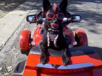 IMG_20111004_154902.jpg