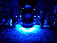 led2.jpg