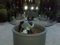 IMG_20110928_193155.jpg