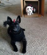 20111018_170032-1.jpg