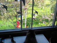 IMG_0532.jpg