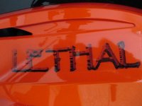 IMG_1672.jpg