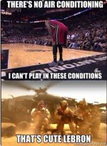 bron.jpg