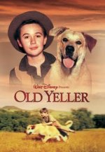movieposter.jpg