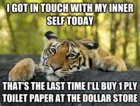 tiger.jpg