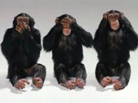no Evil.jpg