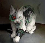 Borg_Kitten_by_delira.jpg