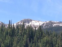 IMG_1129.jpg