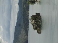 DSC02254.jpg