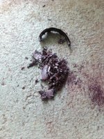 ImageUploadedByTapatalk1404653816.624037.jpg