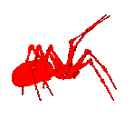 bigred.gif