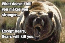 bears_will_kill_you_.jpg