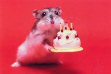 BIRTHDAY.jpg