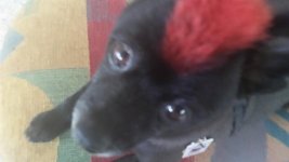 20140712_141548.jpg
