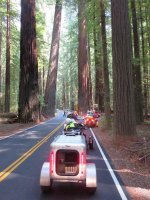 Spyders in the Redwoods 022.jpg Spyders in the Redwoods 022.jpg