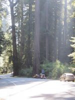 Smith River Hwy 004.jpg Smith River Hwy 004.jpg