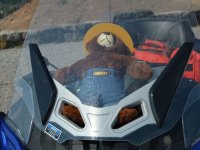 Smokey 3.jpg