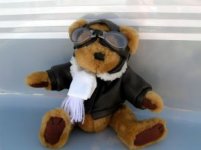 teddy-bear-pilot_2167465.jpg