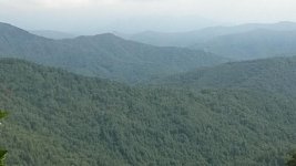 WP_20140821_007[1].jpg