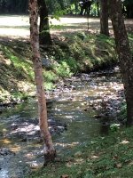 IMG_3671.jpg