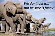 elephantw.jpg
