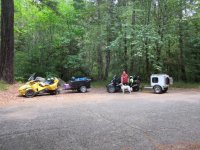 Spyders in the Redwoods 001.jpg