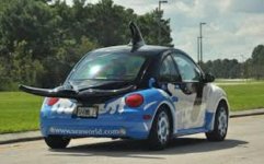 Sea World Beetle.jpg
