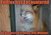 Firefox_Windows_Problem.jpg