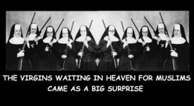 virgins1.jpg