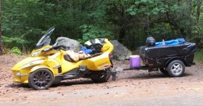 Spyders in the Redwoods 001.jpg